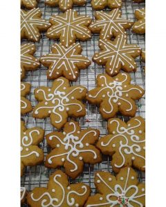 Winter Cookies
