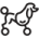 Poodle