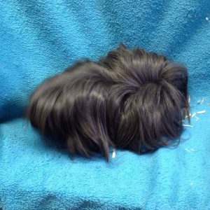 animal-show-party-toronto-14