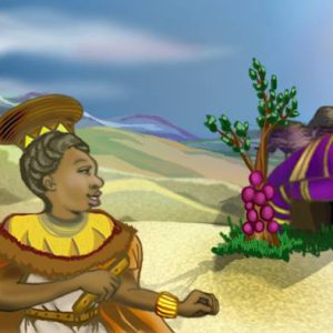 custom-illustrations-3