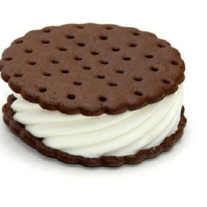 ice-cream-truck-rental-toronto-11