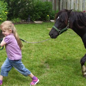 pony-rides-toronto-4