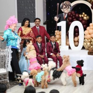 poodle-and-dove-Show-2