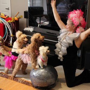 poodle-and-dove-Show-6